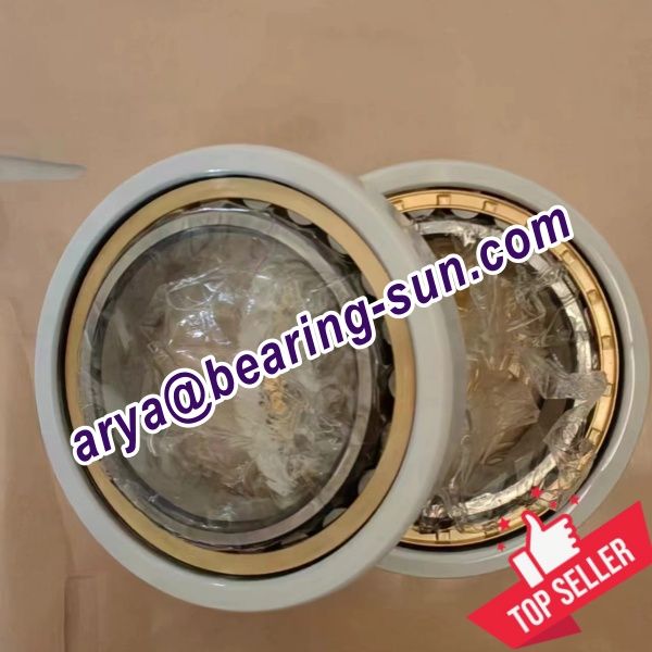 Cylindrical Roller Bearings,Insocoat Bearings,Special Bearings